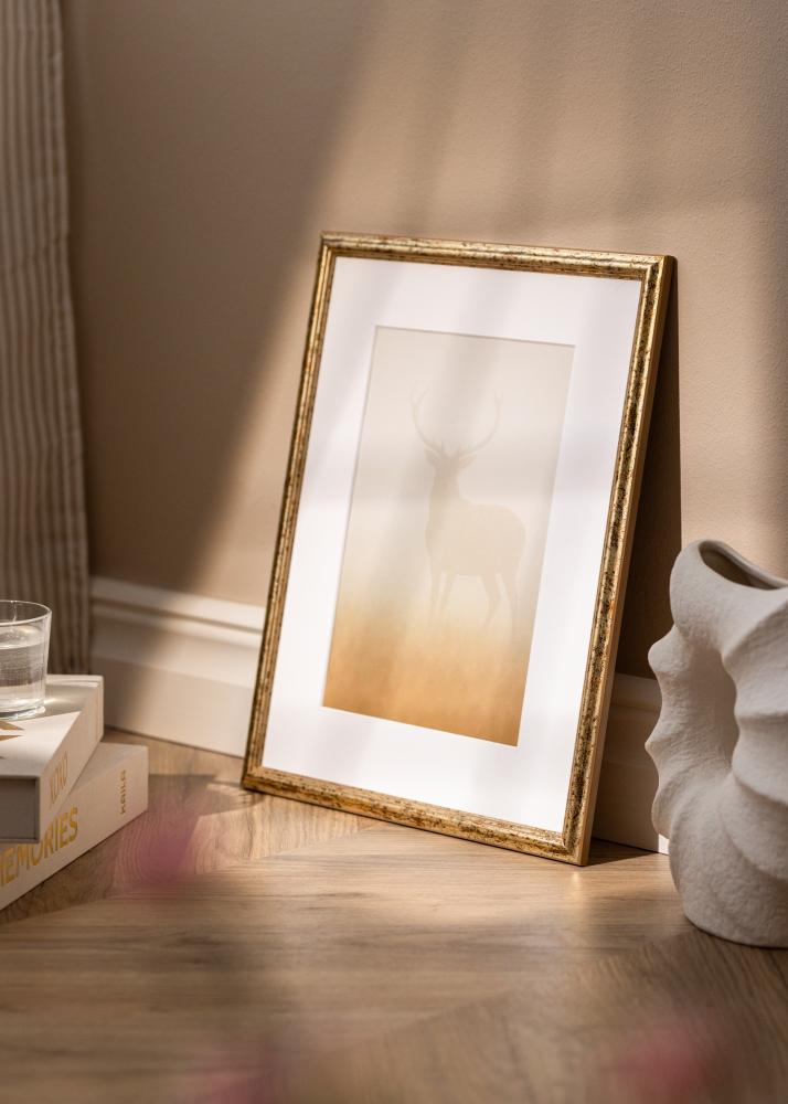 Okvir Claudia Akrylno staklo Srebro 40x60 cm