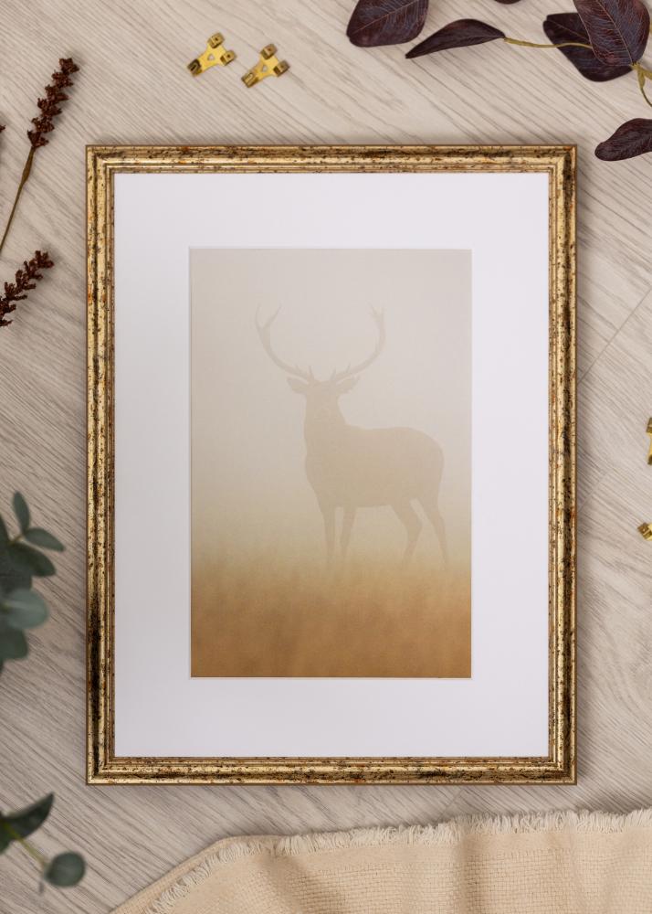 Okvir Claudia Akrylno staklo Srebro 40x60 cm