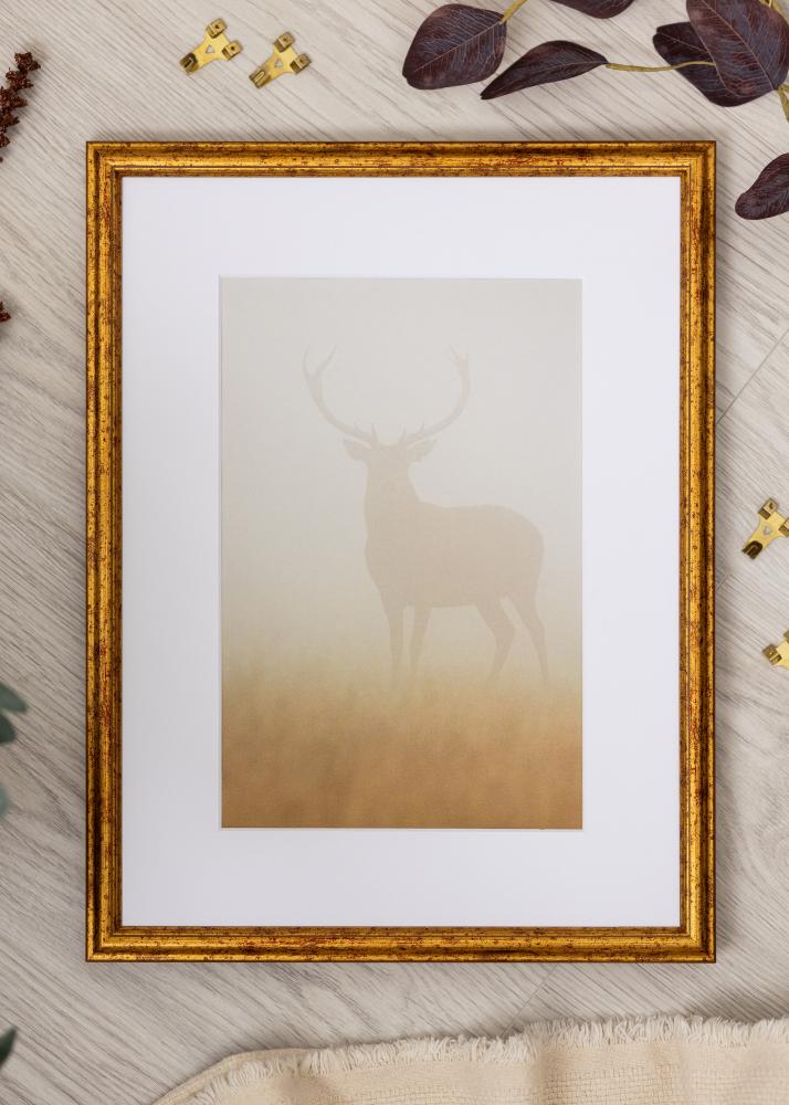 Okvir Claudia Akrylglas Zlatna 21x29,7 cm (A4)