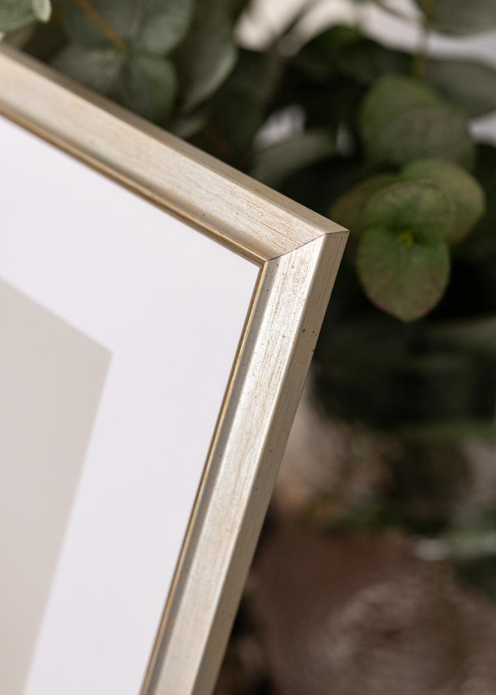 Okvir Marisa Akrylglas Srebro 60x80 cm