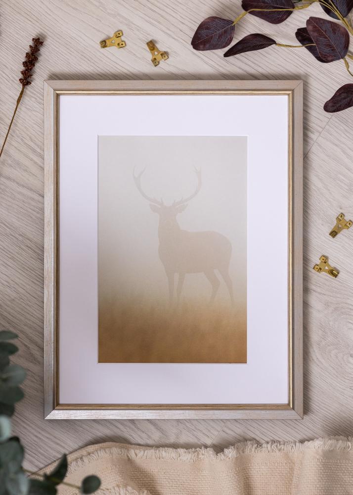 Okvir Marisa Akrylglas Srebro 60x80 cm