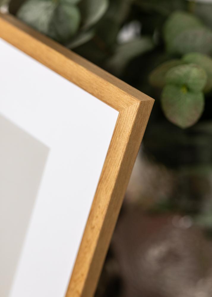 Okvir Tulipa Akrilno staklo Massiv ek 29,7x42 cm (A3)