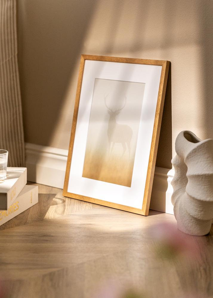 Okvir Tulipa Akrilno staklo Massiv ek 29,7x42 cm (A3)