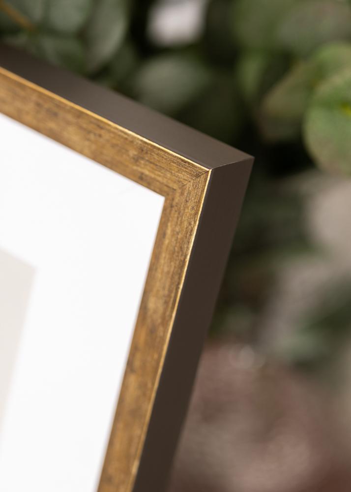 Okvir Dune Akrilno staklo Zlato 40x60 cm