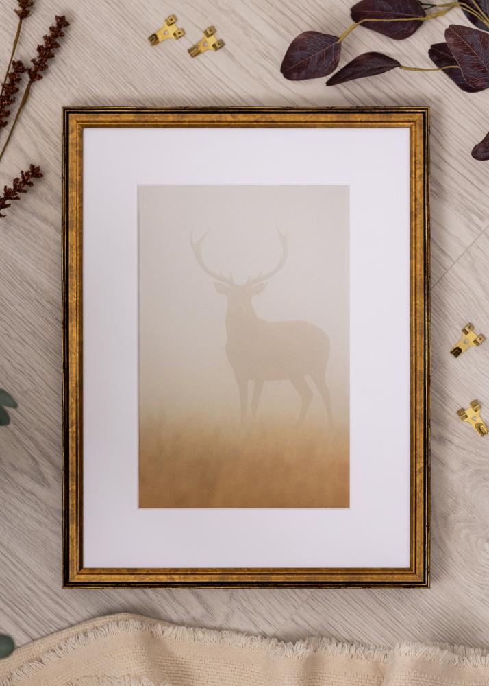 Okvir Ringa Akrilno staklo Zlatna 30x40 cm