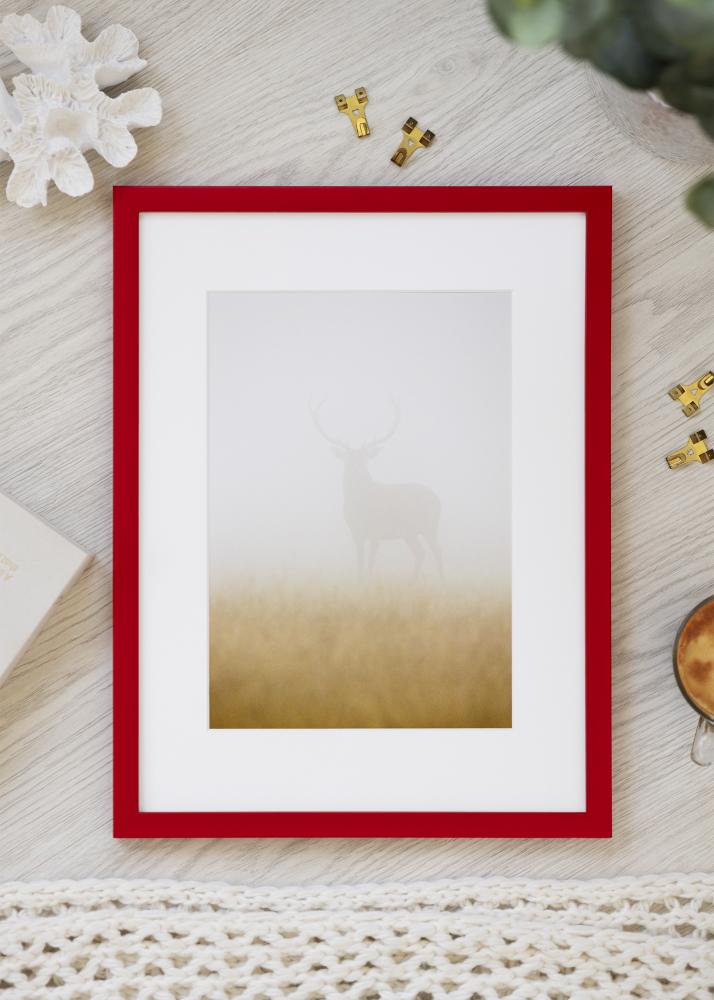 Okvir Kent Akrilno staklo Crvena 29,7x42 cm (A3)