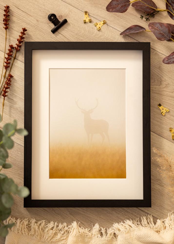 BGA okvir kutije crna 30x45 cm - Paspartui Bijela 8x14 inča