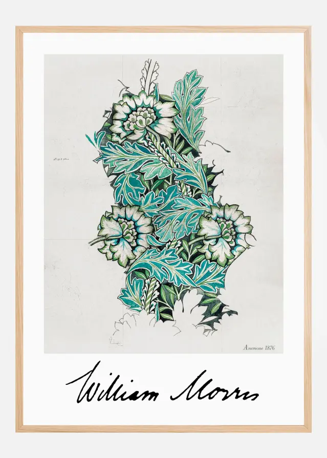 Anemone Plakat