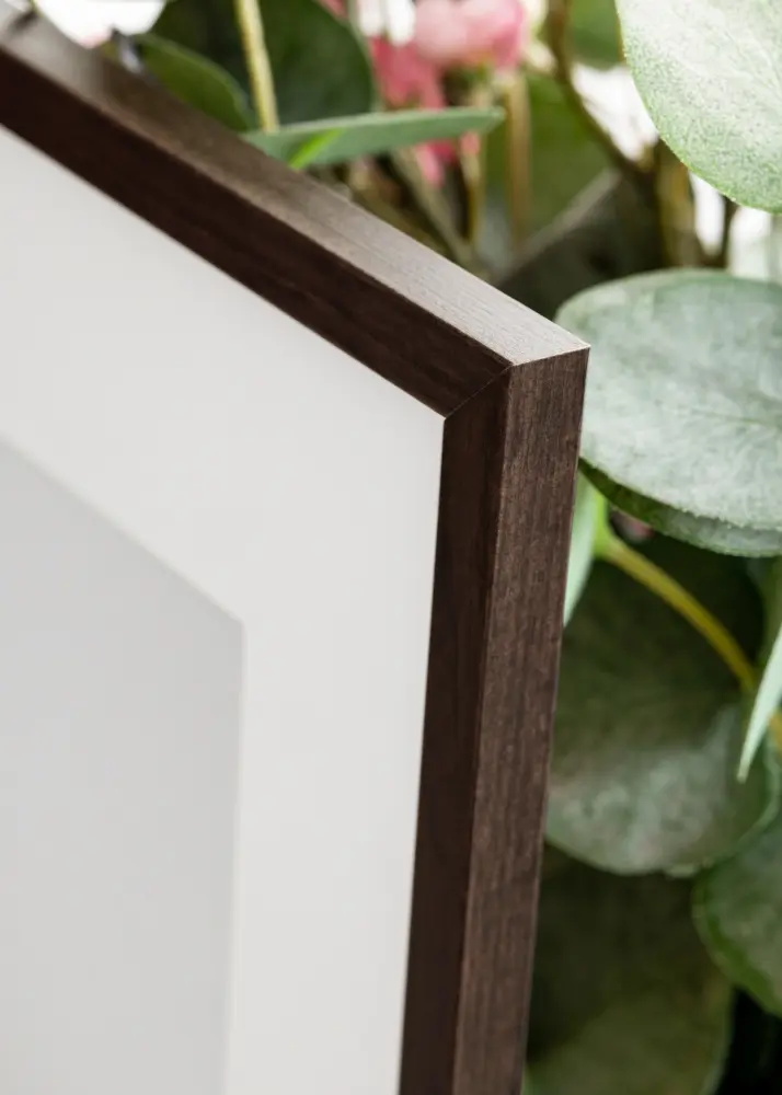 Okvir Galant Orah 29,7x42 cm (A3)