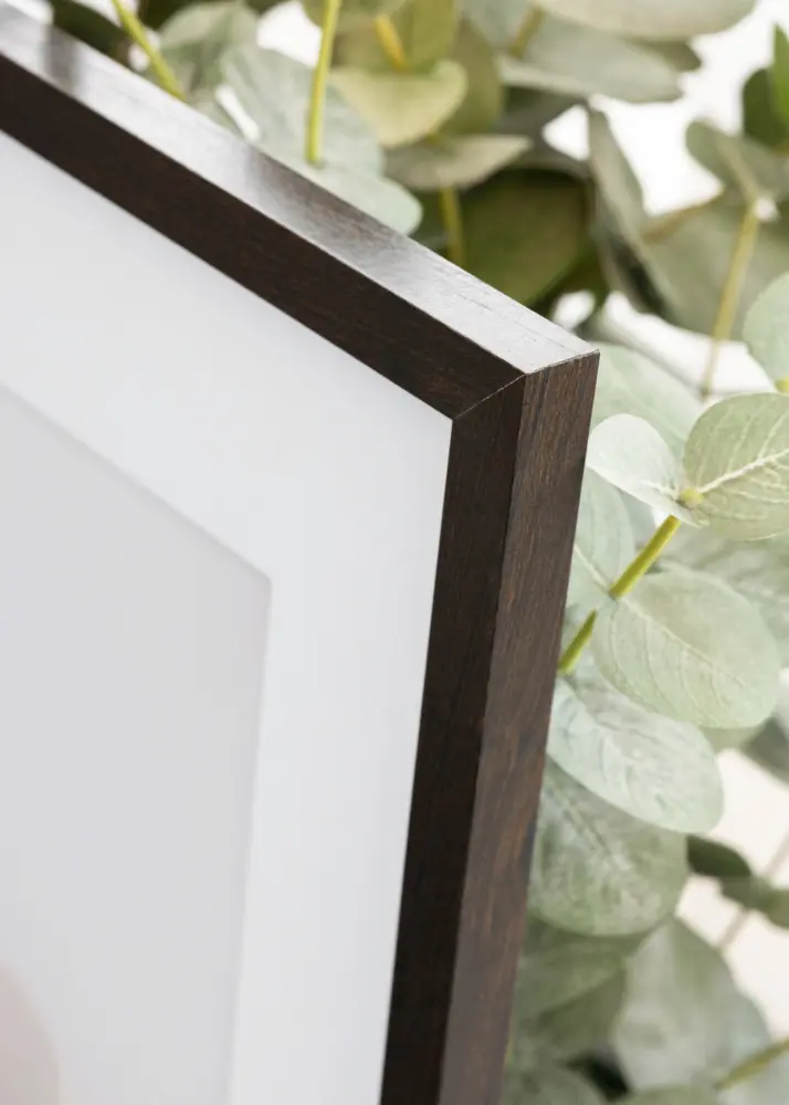 Okvir Trendy Orah 15x20 cm - Paspartu Bijelo 4x5 inches