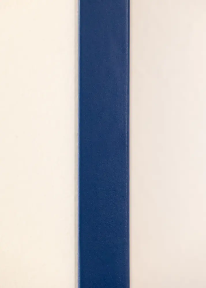 Okvir NordicLine Classic Blue 29,7x42 cm (A3)