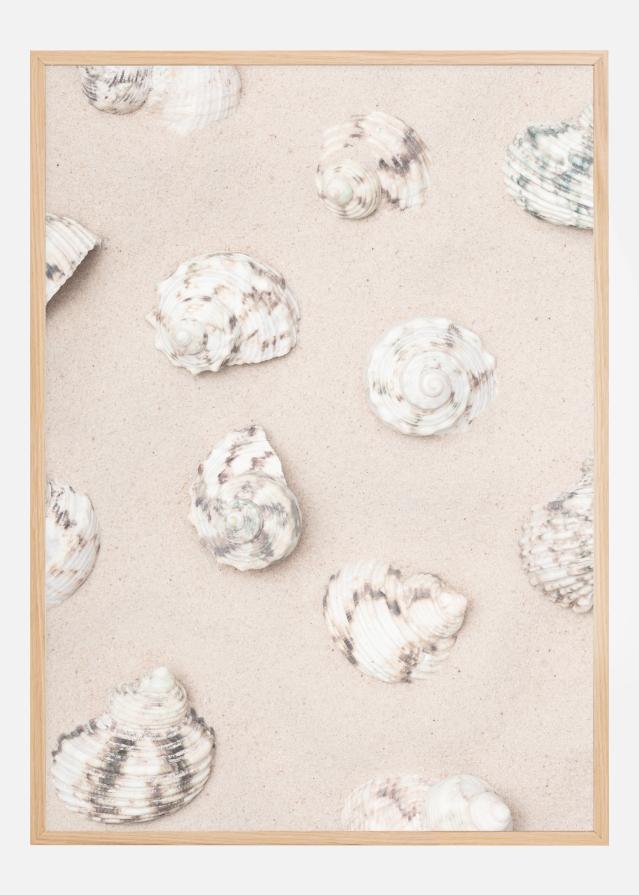 Shells Plakat