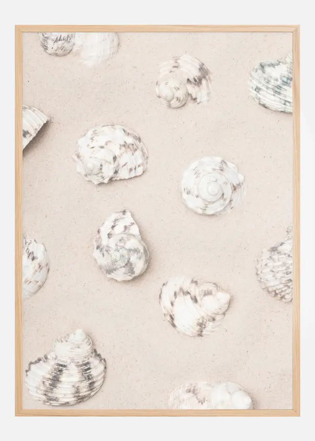 Shells Plakat