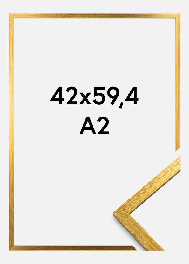Okvir Edsbyn Akrilno staklo Zlato 42x59,4 cm (A2)