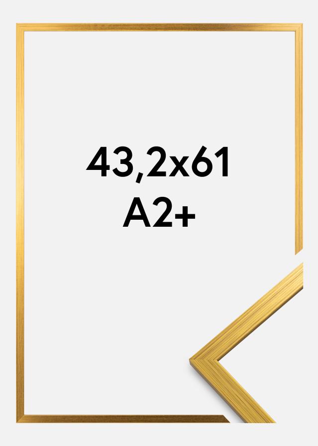 Okvir Edsbyn Akrilno staklo Zlato 43,2x61 cm (A2+)