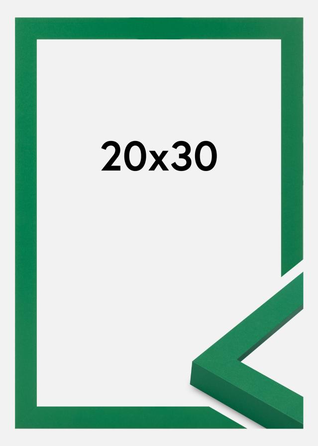 Okvir Selection Akrilno staklo Light Green 20x30 cm