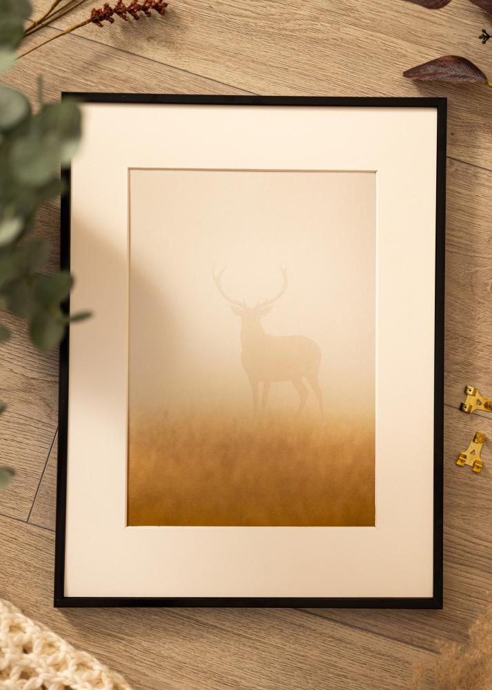 Aluminijski okvir Akrilno staklo Crno 30x40 cm