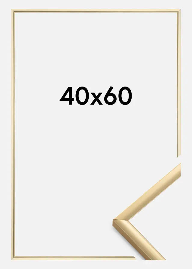 Okvir New Lifestyle Zlato 40x60 cm