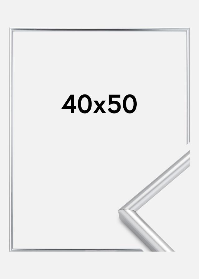 Okvir Galeria Srebro 40x50 cm