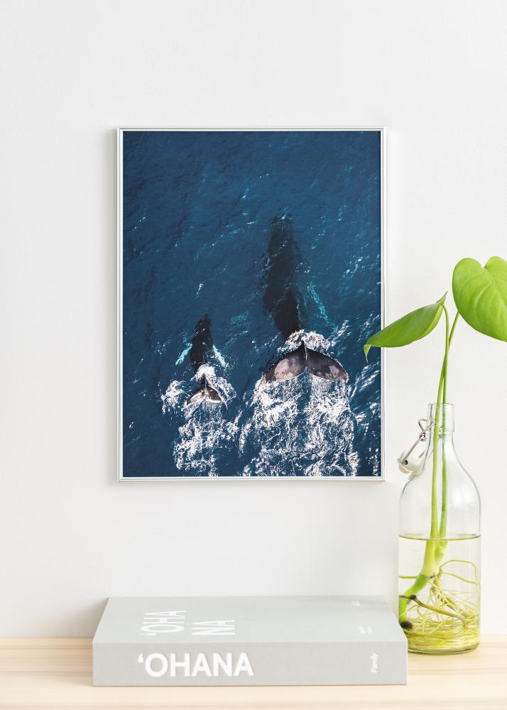 Okvir Can-Can Srebro 50x60 cm