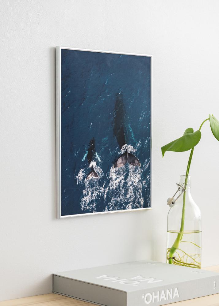 Okvir Can-Can Srebro 50x60 cm