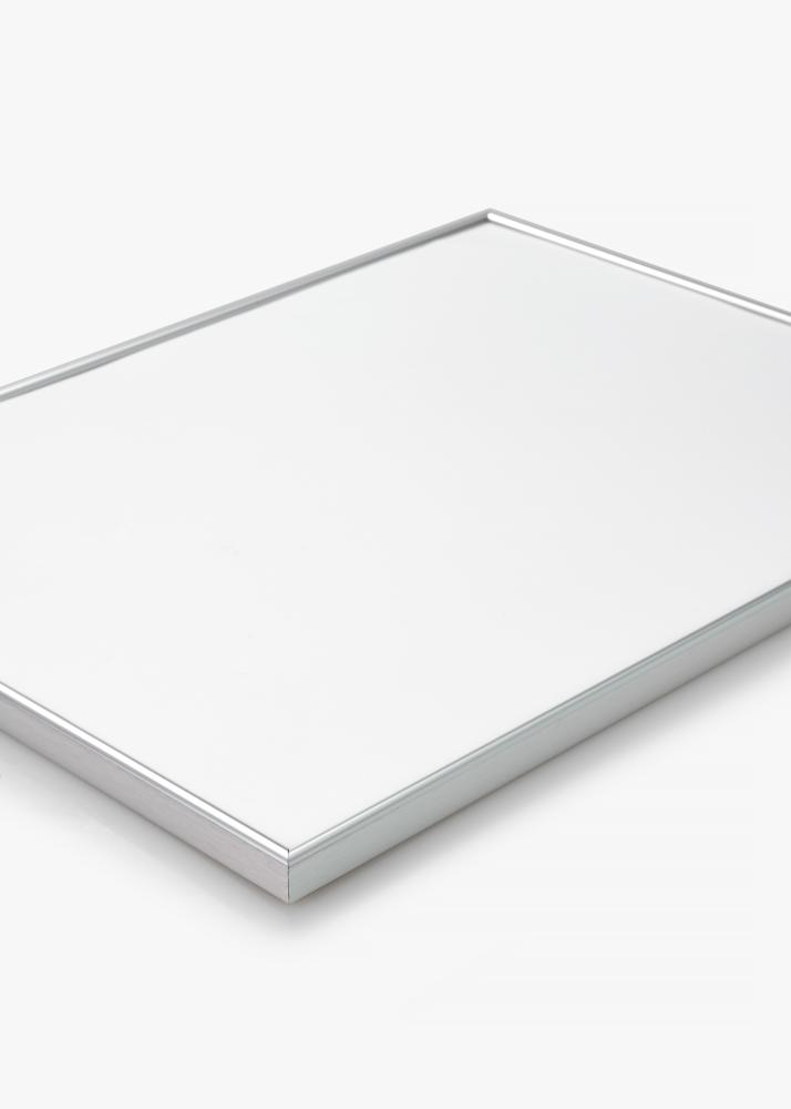 Okvir Can-Can Srebro 50x60 cm