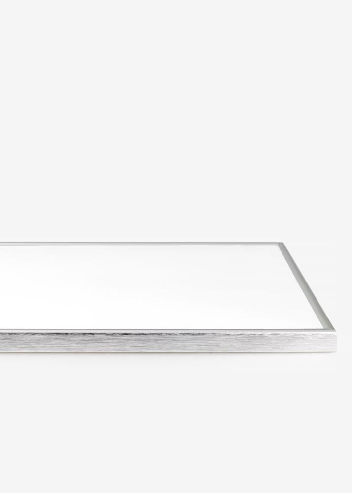Okvir Can-Can Srebro 50x60 cm