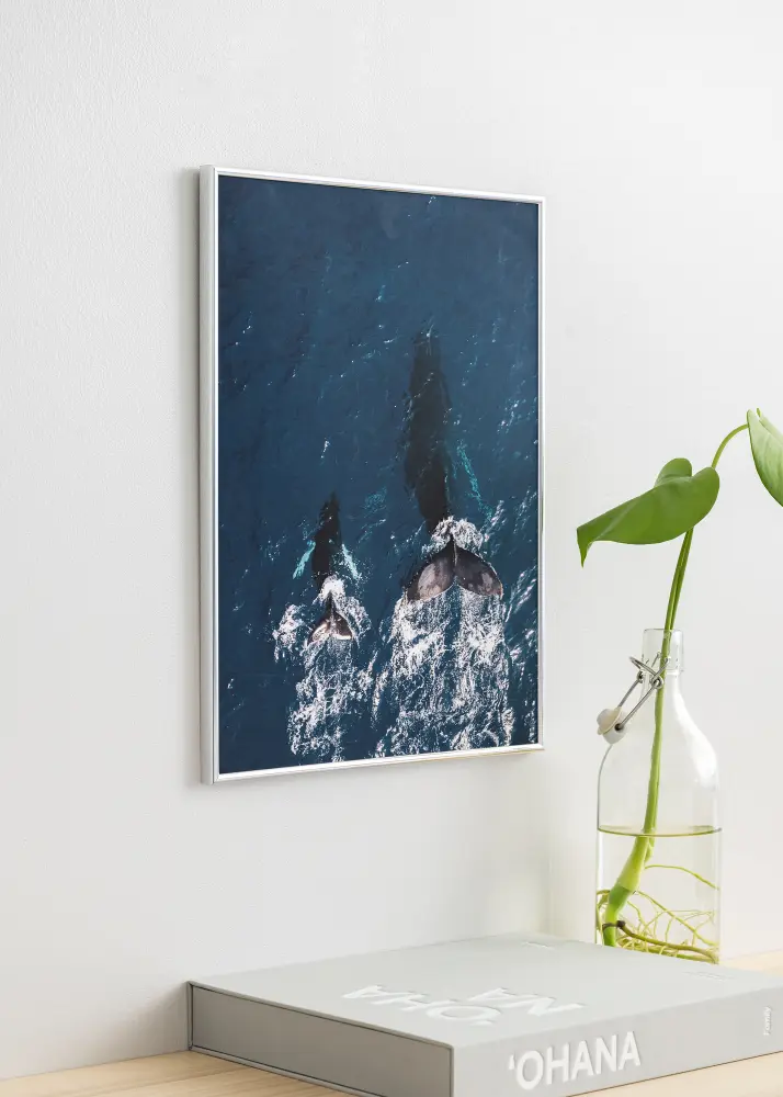 Okvir Can-Can Srebro 29,7x42 cm (A3)