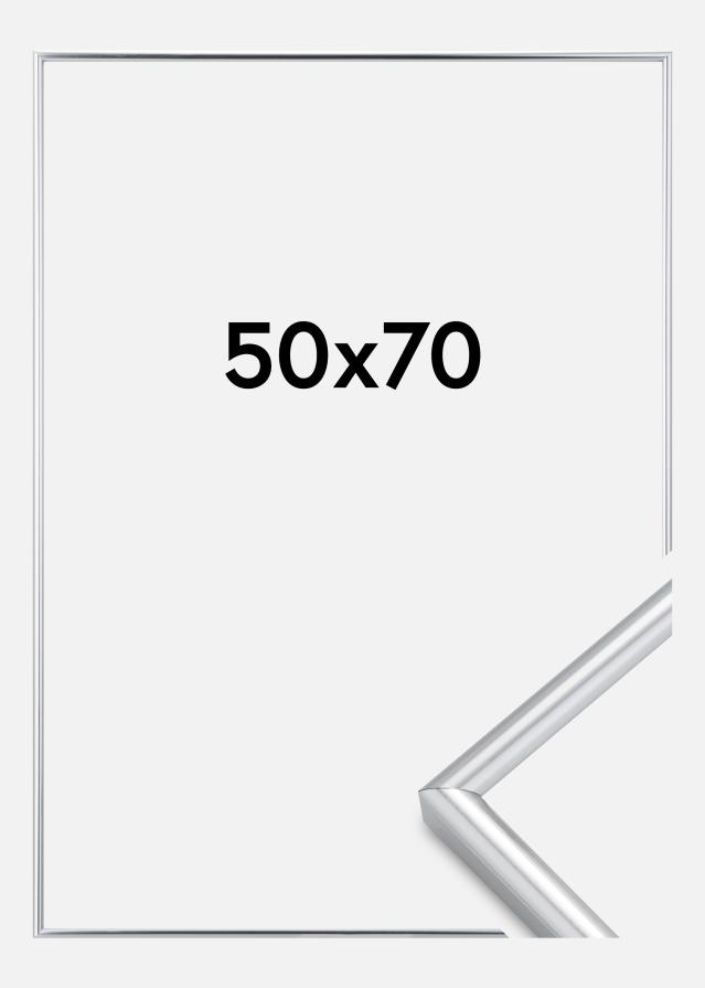 Okvir Galeria Srebro 50x70 cm