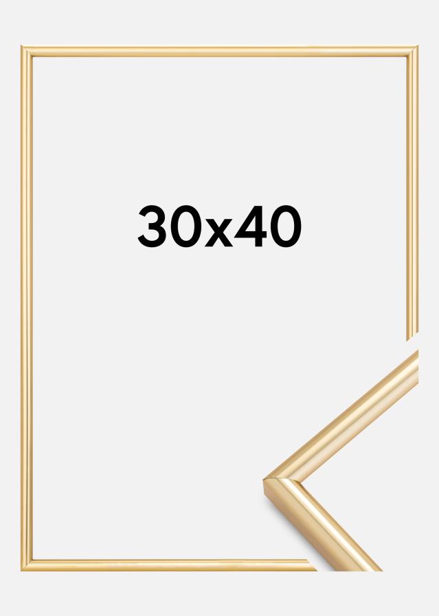 Okvir Galeria Zlato 30x40 cm