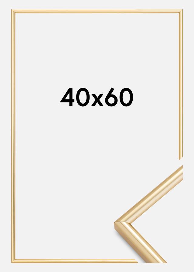Okvir Galeria Zlato 40x60 cm