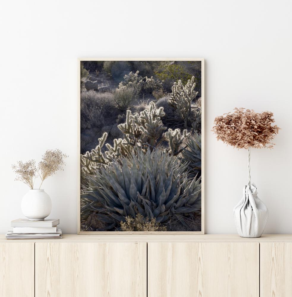 Cactus In Desert Plakat