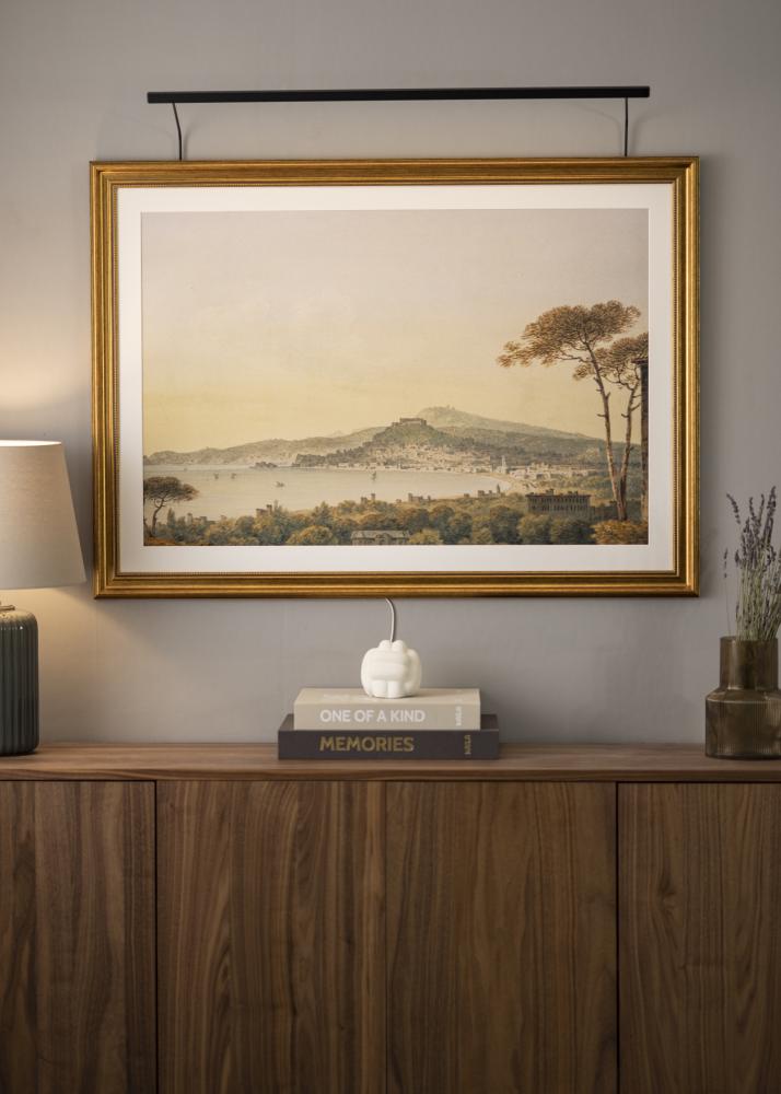 BLP 117 rasvjeta za slike 85 cm - Crno