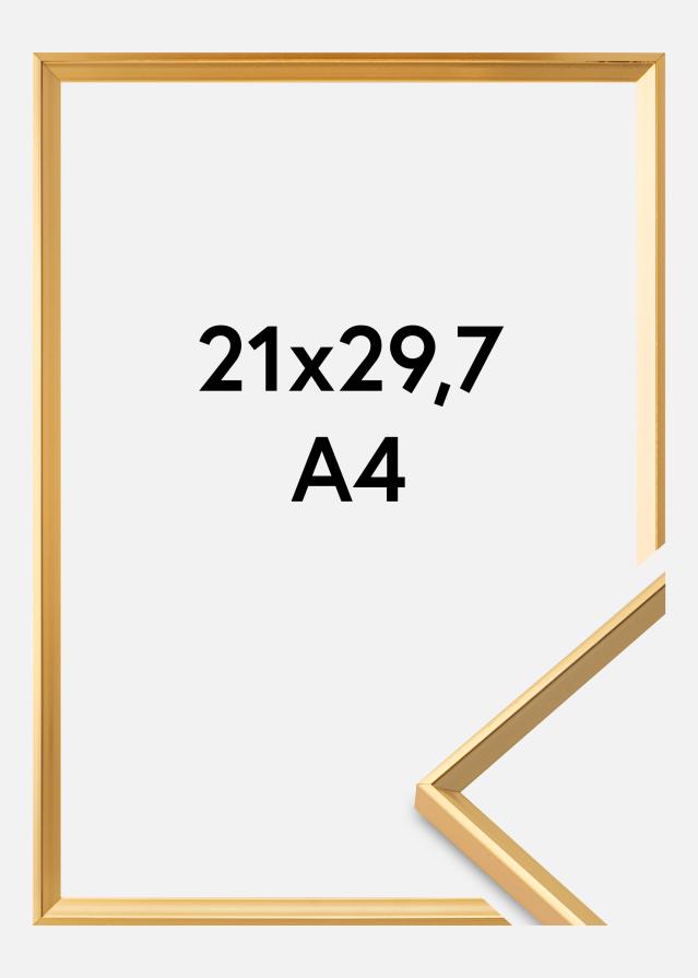 Okvir Desire Zlato 21x29,7 cm (A4)