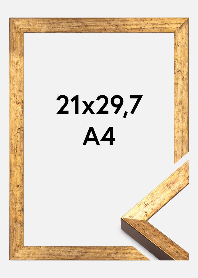 Okvir Dune Akrylglas Zlato 21x29,7 cm (A4)