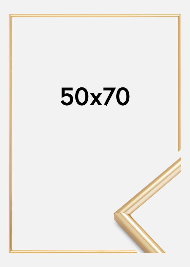 Okvir Galeria Zlato 50x70 cm