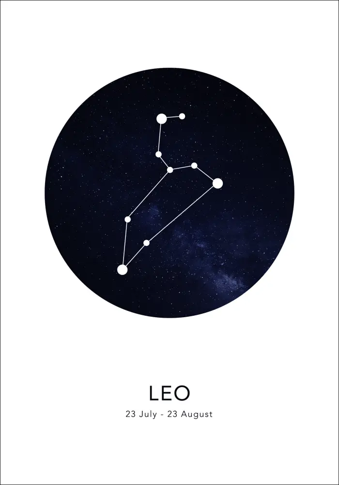 Leo Plakat