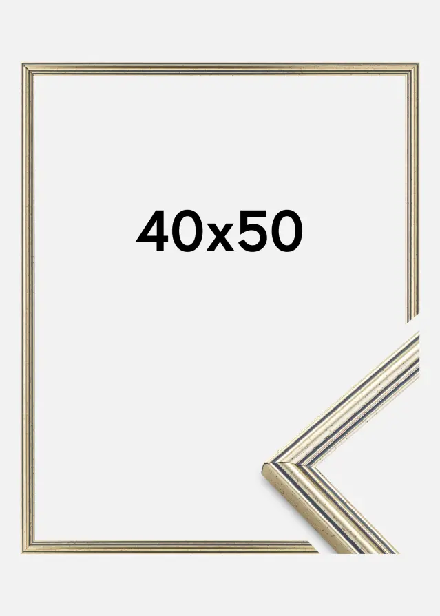 Okvir Classic Srebro 40x50 cm