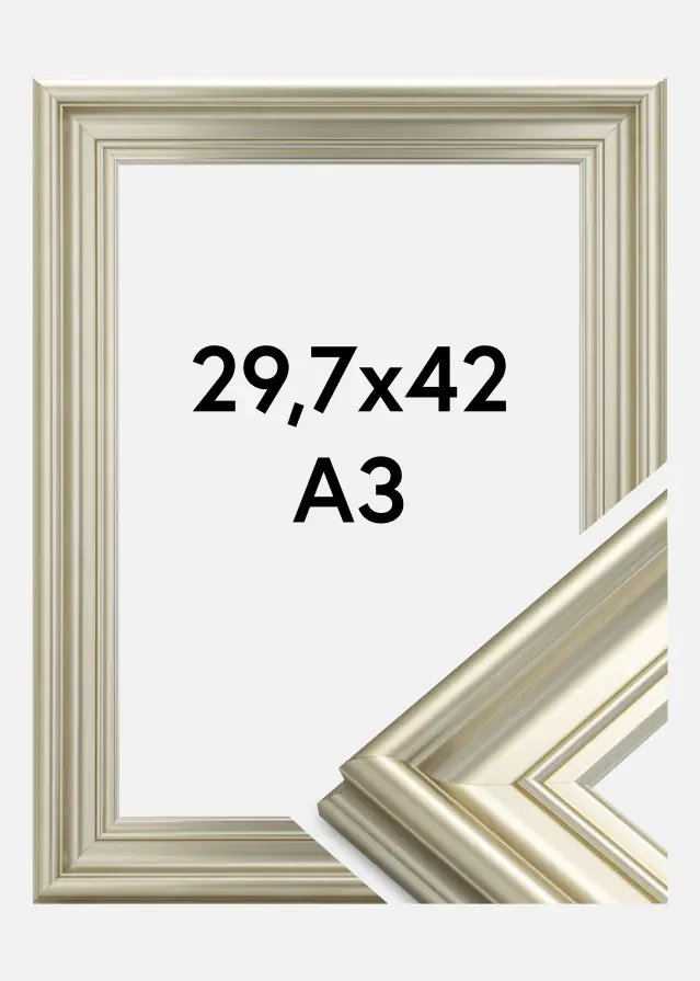 Okvir Mora Premium Srebro 29,7x42 cm (A3)