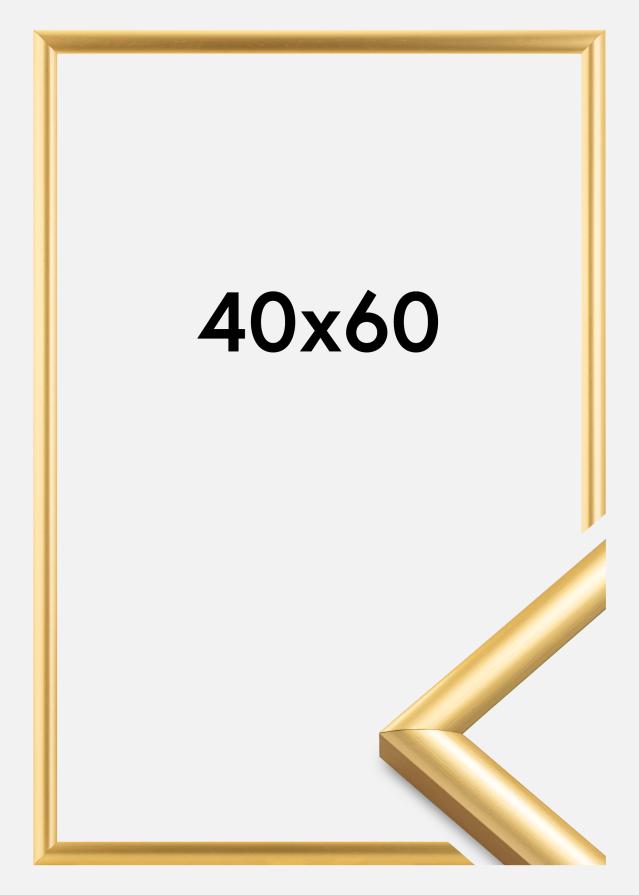 Okvir Trendstyle Zlato 40x60 cm