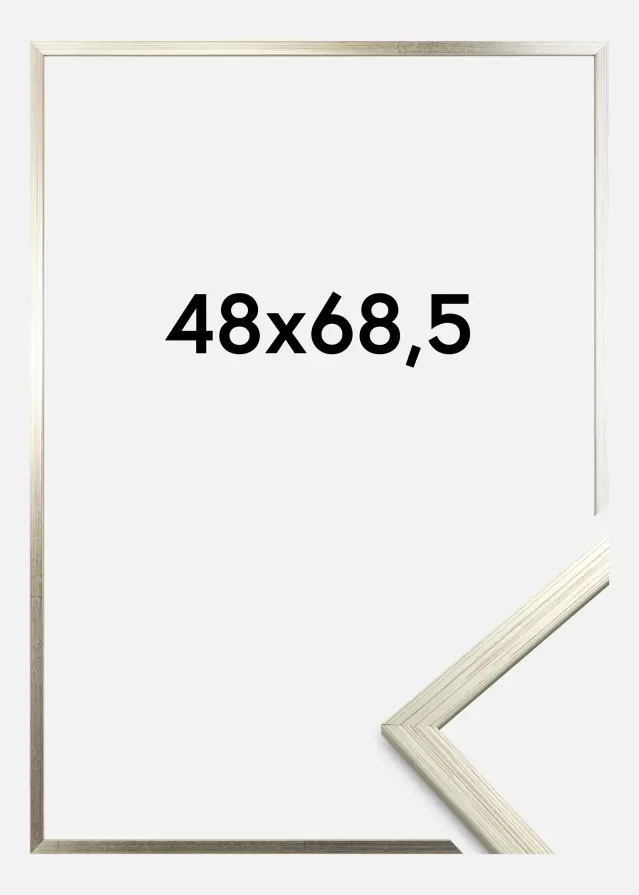 Okvir Edsbyn Akrilno staklo Srebro 48x68,5 cm