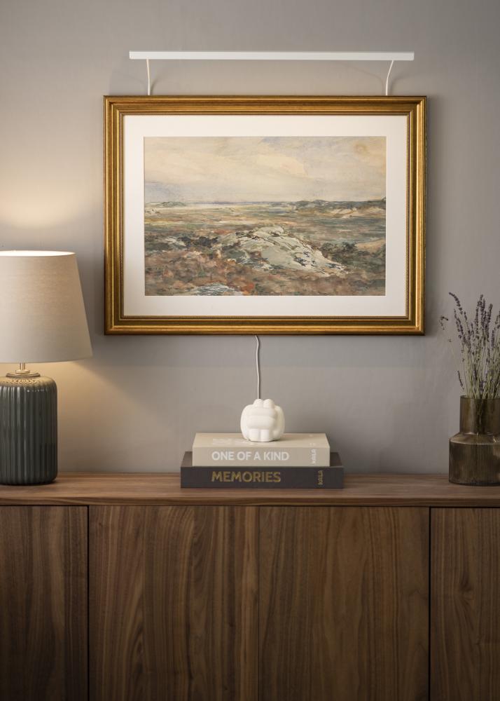 BLP 117 rasvjeta za slike 65 cm - Bijelo