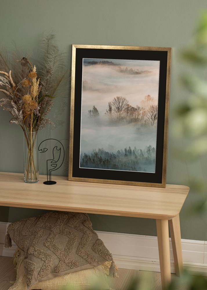 Okvir Profinjeni Zlato 30x40 cm - Paspartu Crno 21x29,7 cm (A4)