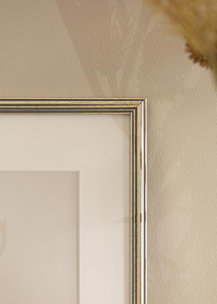 Okvir Classic Srebro 21x29,7 cm (A4)