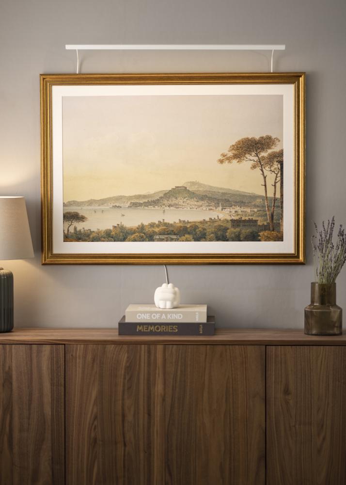 BLP 117 rasvjeta za slike 85 cm - Bijelo