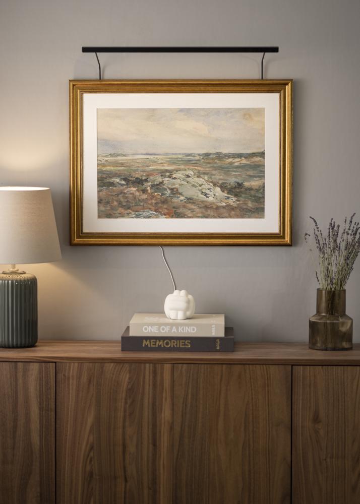 BLP 117 rasvjeta za slike 65 cm - Crno