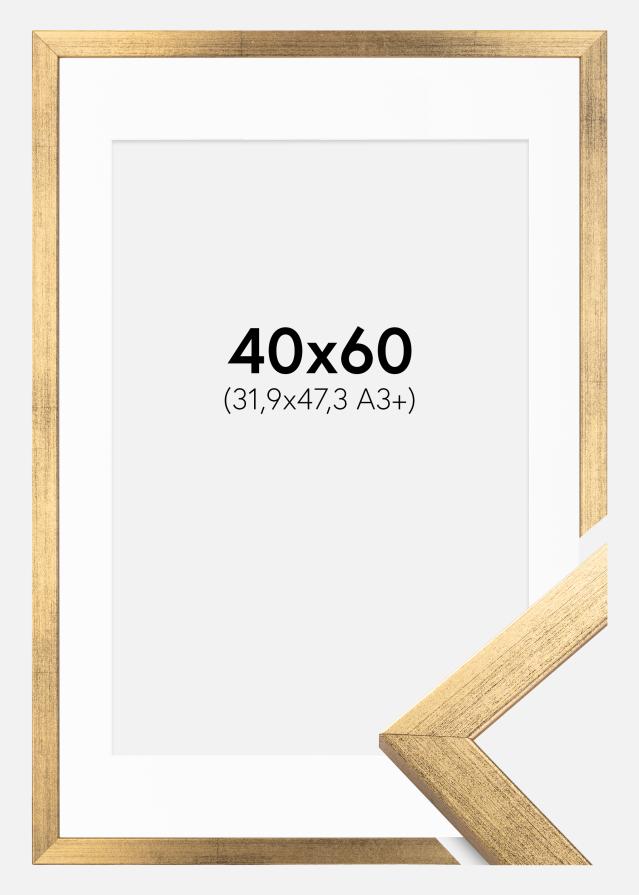 Okvir Profinjeni Zlato 40x60 cm - Paspartu Bijelo 32,9x48,3 cm (A3+)