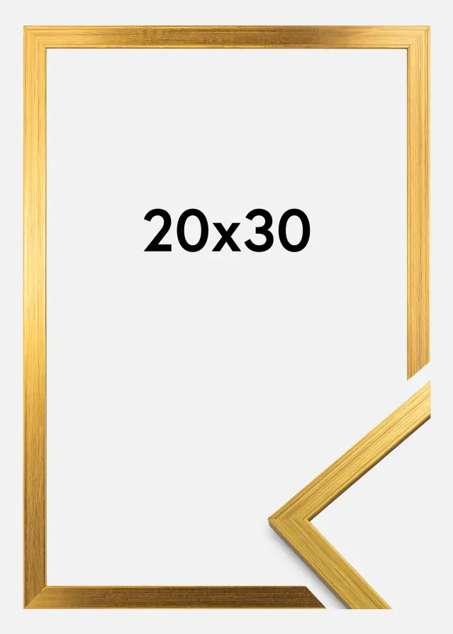 Okvir Edsbyn Akrilno staklo Zlato 20x30 cm
