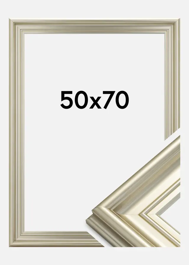 Okvir Mora Premium Srebro 50x70 cm