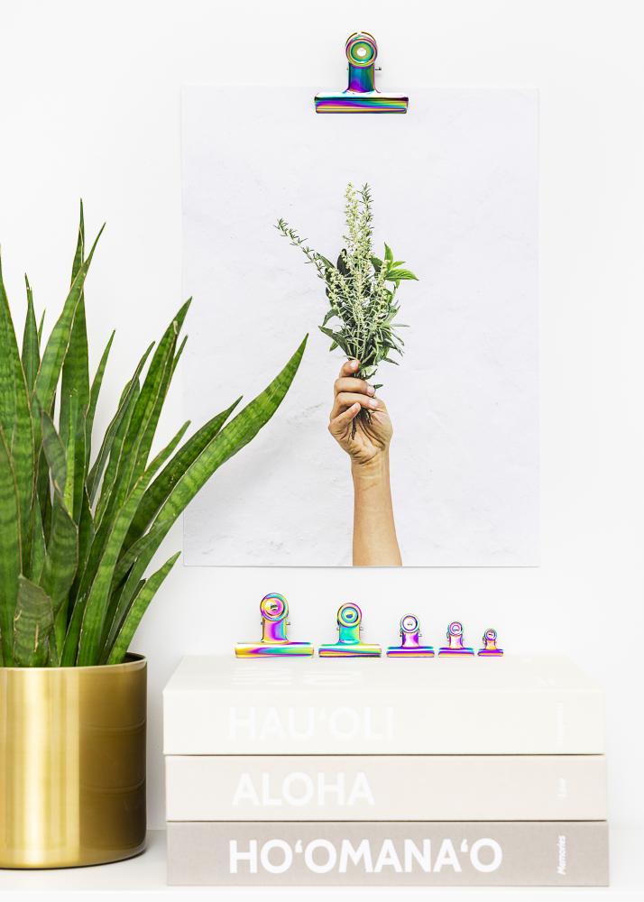 KAILA Plakat Clip Rainbow 20 mm - 2-kom